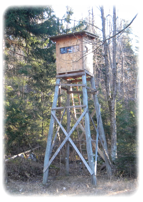 Lovišče v LD Krekovše